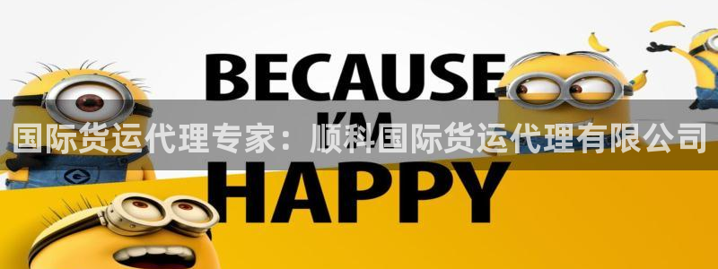 尊龙凯时捕鱼游戏能玩吗：国际货运代理专家：顺科国际货运代