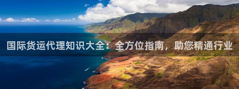 尊龙d88官网准认来就送38：国际货运代理知识大全：全方