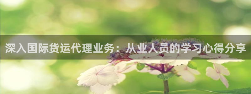 尊龙d88官网登录苹果版下载：深入国际货运代理业务：从业