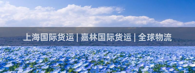 尊龙凯时人生就是博中国官网：上海国际货运 | 嘉林国际货