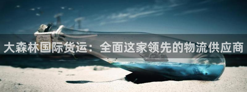 尊龙165：大森林国际货运：全面这家领先的物流供应商