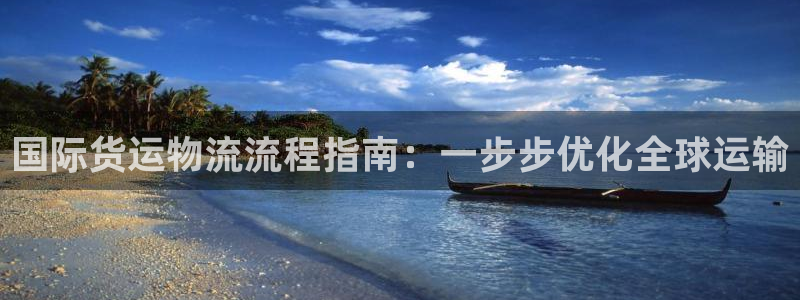 尊龙人品怎么样：国际货运物流流程指南：一步步优化全球运输