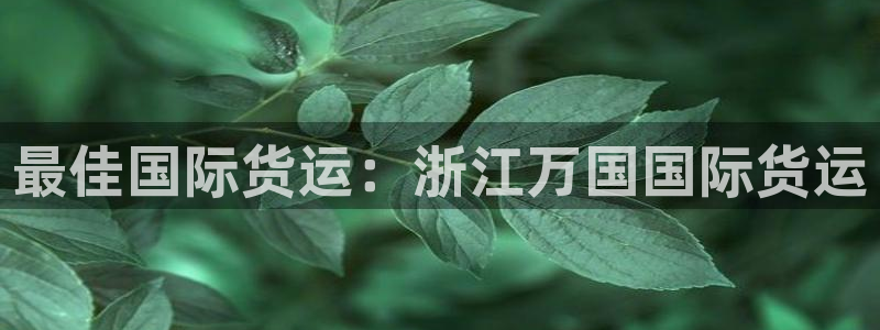 尊龙信息科技有限公司：最佳国际货运：浙江万国国际货运