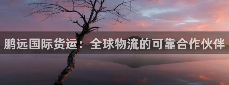 尊龙一人生就是博电子游戏：鹏远国际货运：全球物流的可靠合