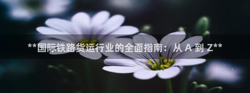 尊龙凯时能提现吗：**国际铁路货运行业的全面指南：从 A