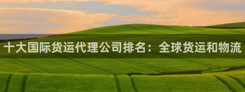 尊龙凯时人生就是搏平台：十大国际货运代理公司排名：全球货