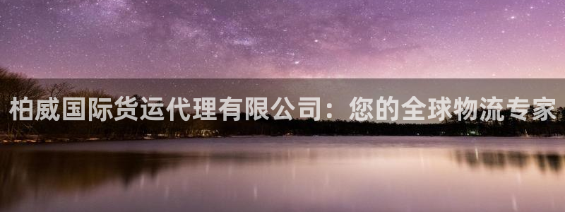 尊龙ag：柏威国际货运代理有限公司：您的全球物流专家