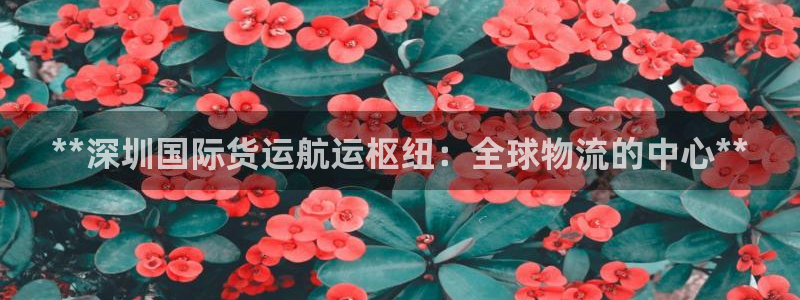 尊龙ag旗舰厅下载：**深圳国际货运航运枢纽：全球物流的