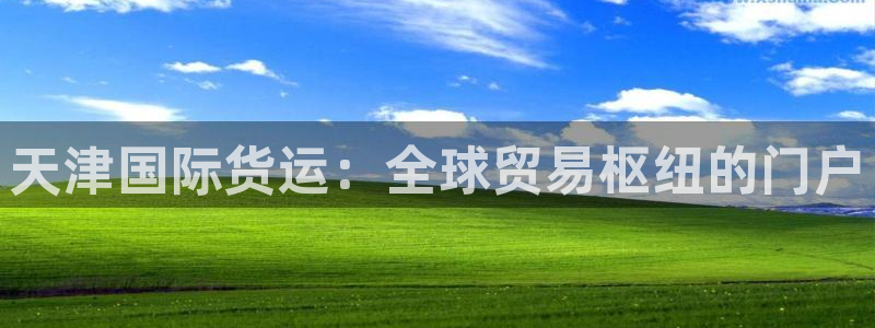 尊龙凯时官网正规吗：天津国际货运：全球贸易枢纽的门户