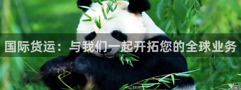 尊龙实业：国际货运：与我们一起开拓您的全球业务