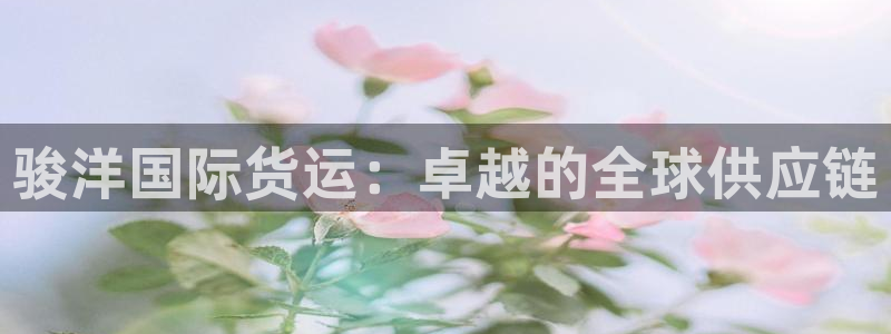 尊龙凯时一人生就是博官网：骏洋国际货运：卓越的全球供应链