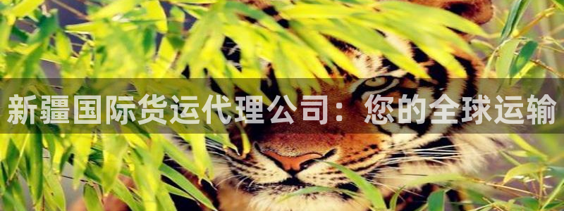 尊龙ag旗舰厅官网登录：新疆国际货运代理公司：您的全球运