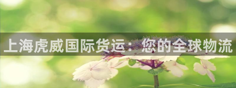 尊龙凯时提款冻卡吗：上海虎威国际货运：您的全球物流