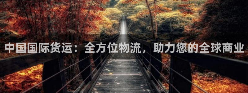 尊龙人生就是一博!：中国国际货运：全方位物流，助力您的全