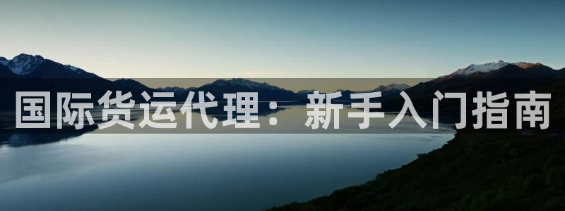 尊龙凯时总部在哪里：国际货运代理：新手入门指南