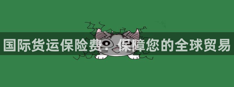 尊龙t500和t300区别：国际货运保险费：保障您的全球
