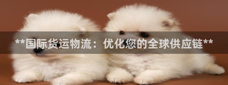 尊龙实业有限公司是正规还是仿：**国际货运物流：优化您的