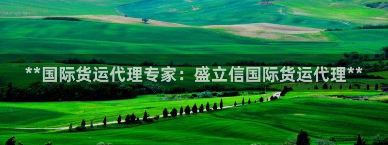 尊龙凯时网站怎么样：**国际货运代理专家：盛立信国际货运