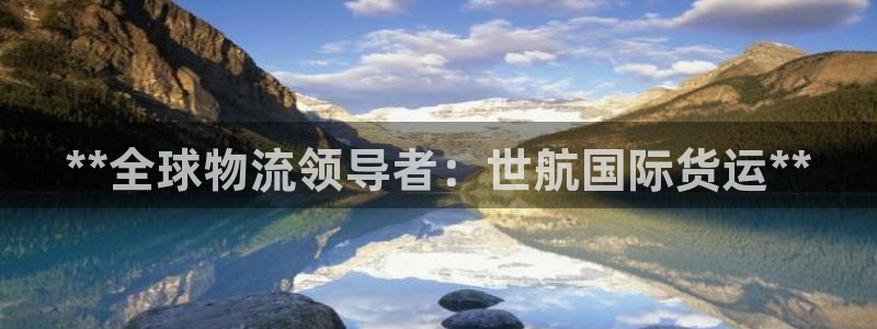 尊龙人生就是博旧版现金娱乐一下：**全球物流领导者：世航