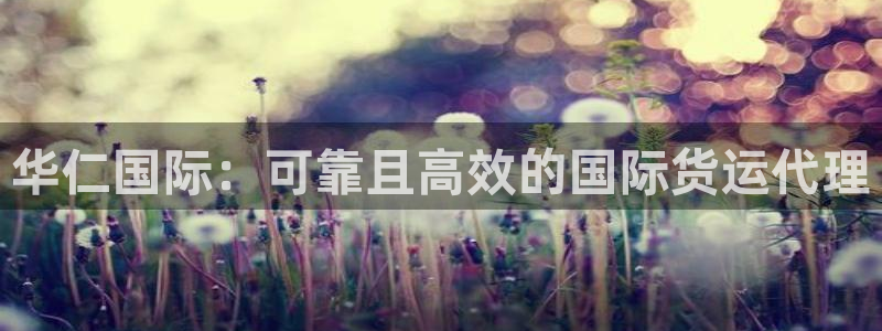 尊龙人生就是博登录：华仁国际：可靠且高效的国际货运代理
