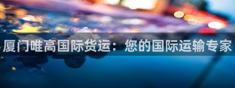 尊龙 10：厦门唯高国际货运：您的国际运输专家