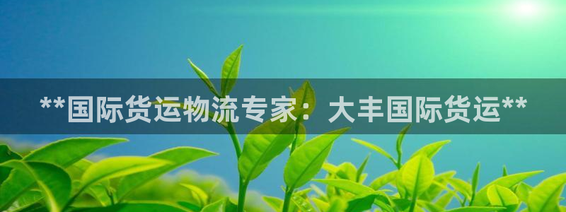 尊龙凯时平台还是万搏好：**国际货运物流专家：大丰国际货