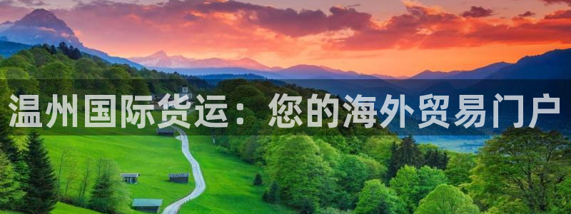 尊龙凯时下载人生就是博：温州国际货运：您的海外贸易门户