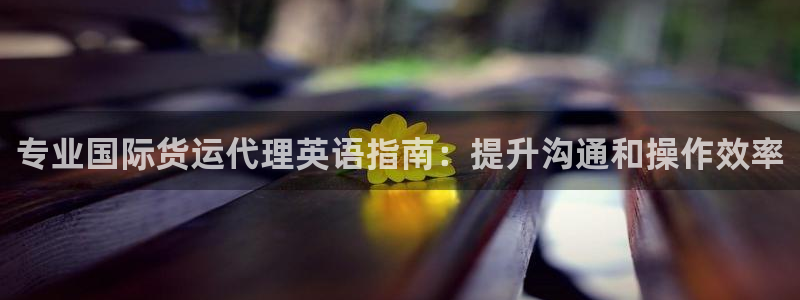 尊龙凯时注册：专业国际货运代理英语指南：提升沟通和操作效