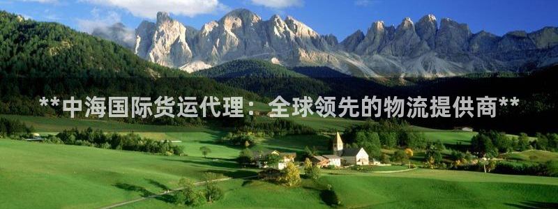 尊龙凯时始人生就是博：**中海国际货运代理：全球领先的物