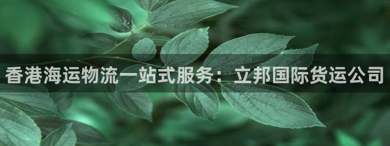 尊龙凯时是赌博嘛：香港海运物流一站式服务：立邦国际货运公