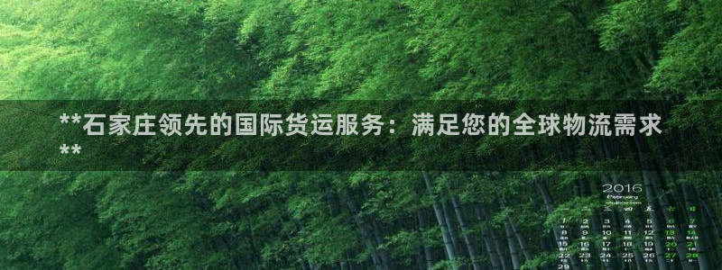 尊龙集团官网：**石家庄领先的国际货运服务：满足您的全球