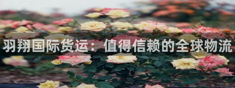 尊龙凯时官方网站下载：羽翔国际货运：值得信赖的全球物流