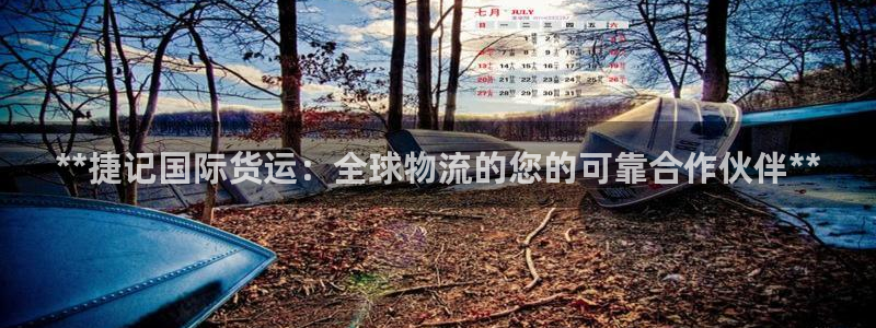 尊龙网址苹果版下载：**捷记国际货运：全球物流的您的可靠