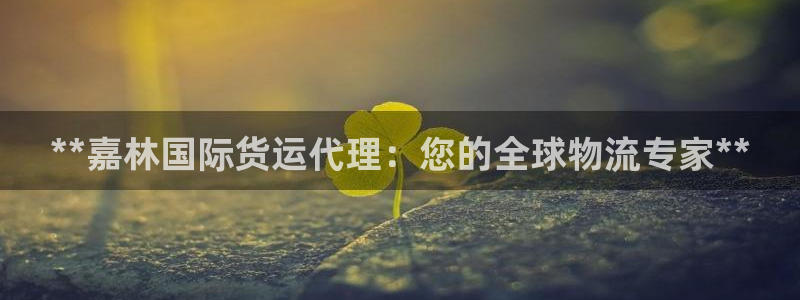尊龙人生就是博登录网址下载：**嘉林国际货运代理：您的全