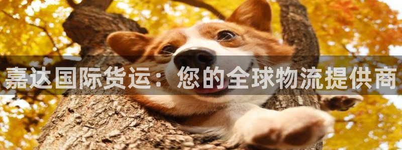 尊龙凯时官网首页：嘉达国际货运：您的全球物流提供商