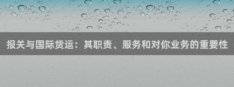 z6com尊龙凯时：报关与国际货运：其职责、服务和对你业