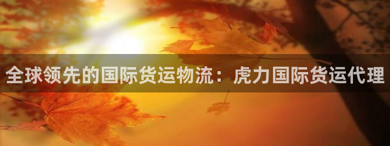 尊龙手机客户端app：全球领先的国际货运物流：虎力国际货