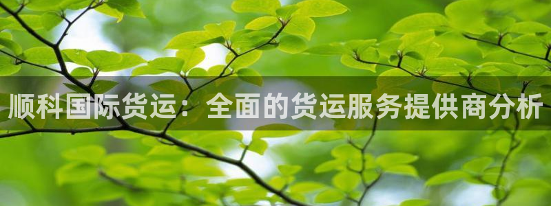 旧版尊龙人生就是博-ag旗舰平台尊龙|ag发财网来就送3