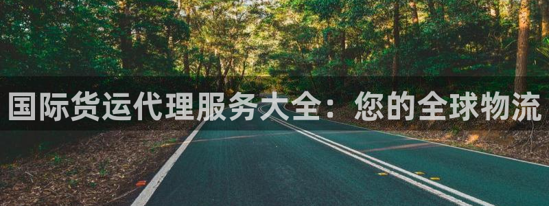 尊龙人生就是博：国际货运代理服务大全：您的全球物流