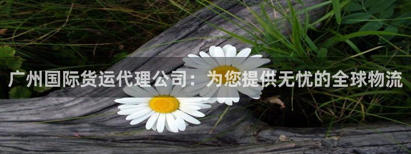 旧版尊龙人生就是博下载：广州国际货运代理公司：为您提供无