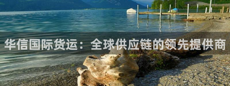 尊龙精品棋牌：华信国际货运：全球供应链的领先提供商