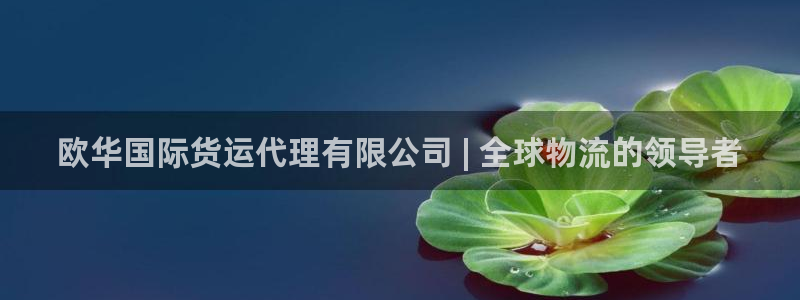 尊龙ag旗舰厅手机版：欧华国际货运代理有限公司 | 全球