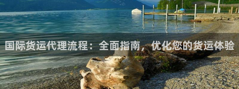尊龙科技：国际货运代理流程：全面指南，优化您的货运体验
