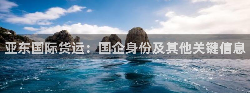 尊龙凯时赢不了：亚东国际货运：国企身份及其他关键信息