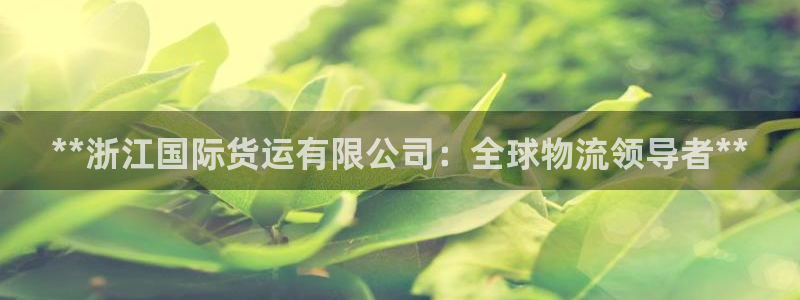 尊龙凯时 人生就是搏!：**浙江国际货运有限公司：全球物