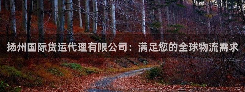 尊龙人生就是博旧版手机可靠送38元：扬州国际货运代理有限