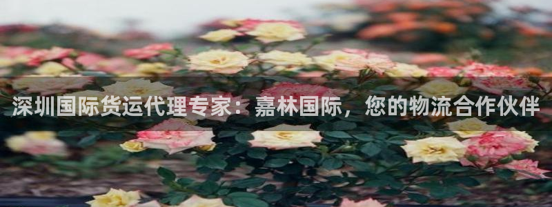 尊龙一人生就是博尊：深圳国际货运代理专家：嘉林国际，您的