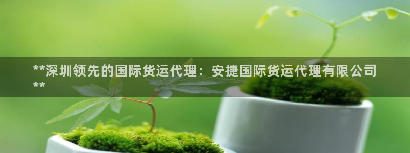 z6尊龙凯时旗舰厅首页：**深圳领先的国际货运代理：安捷