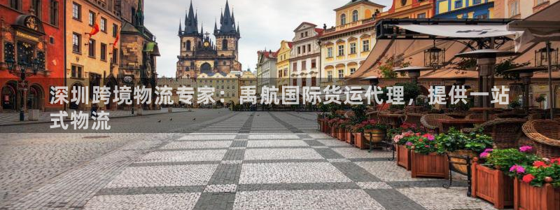 尊龙体育怎么样：深圳跨境物流专家：禹航国际货运代理，提供