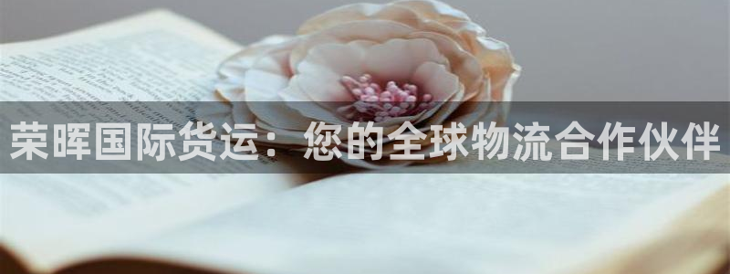 尊龙凯时总部在哪里：荣晖国际货运：您的全球物流合作伙伴